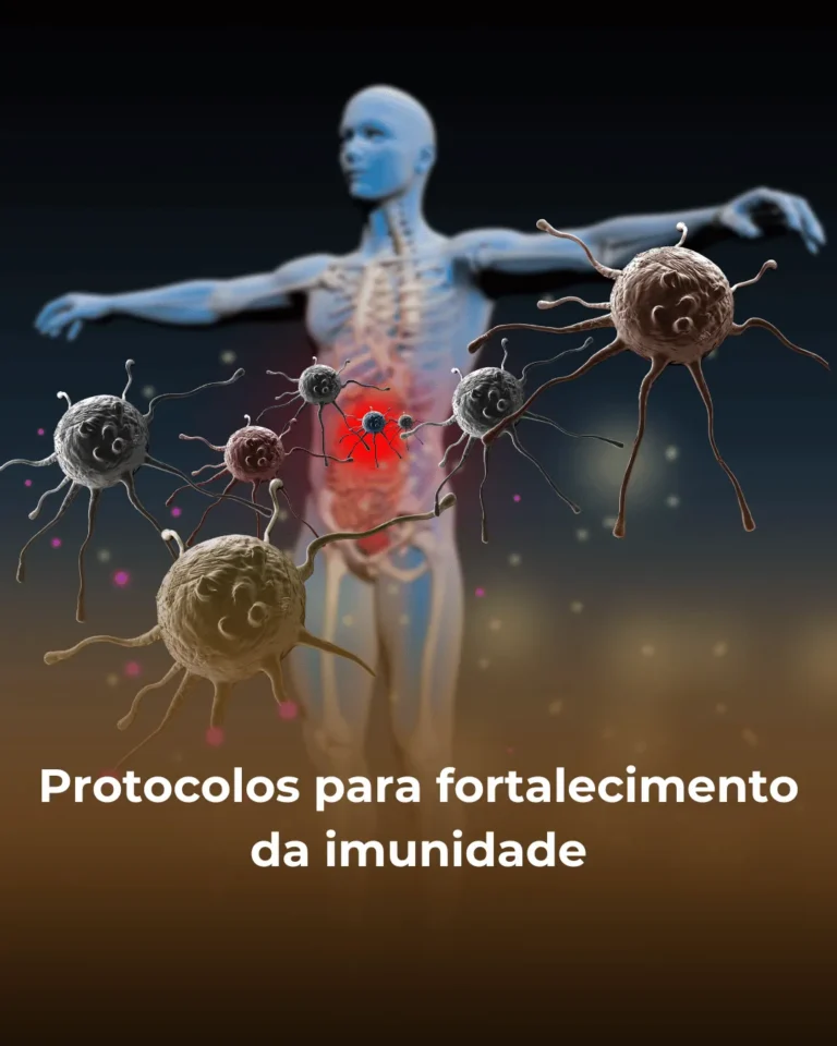 protocolo_11zon